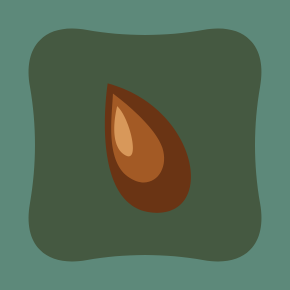 Seed Library 2